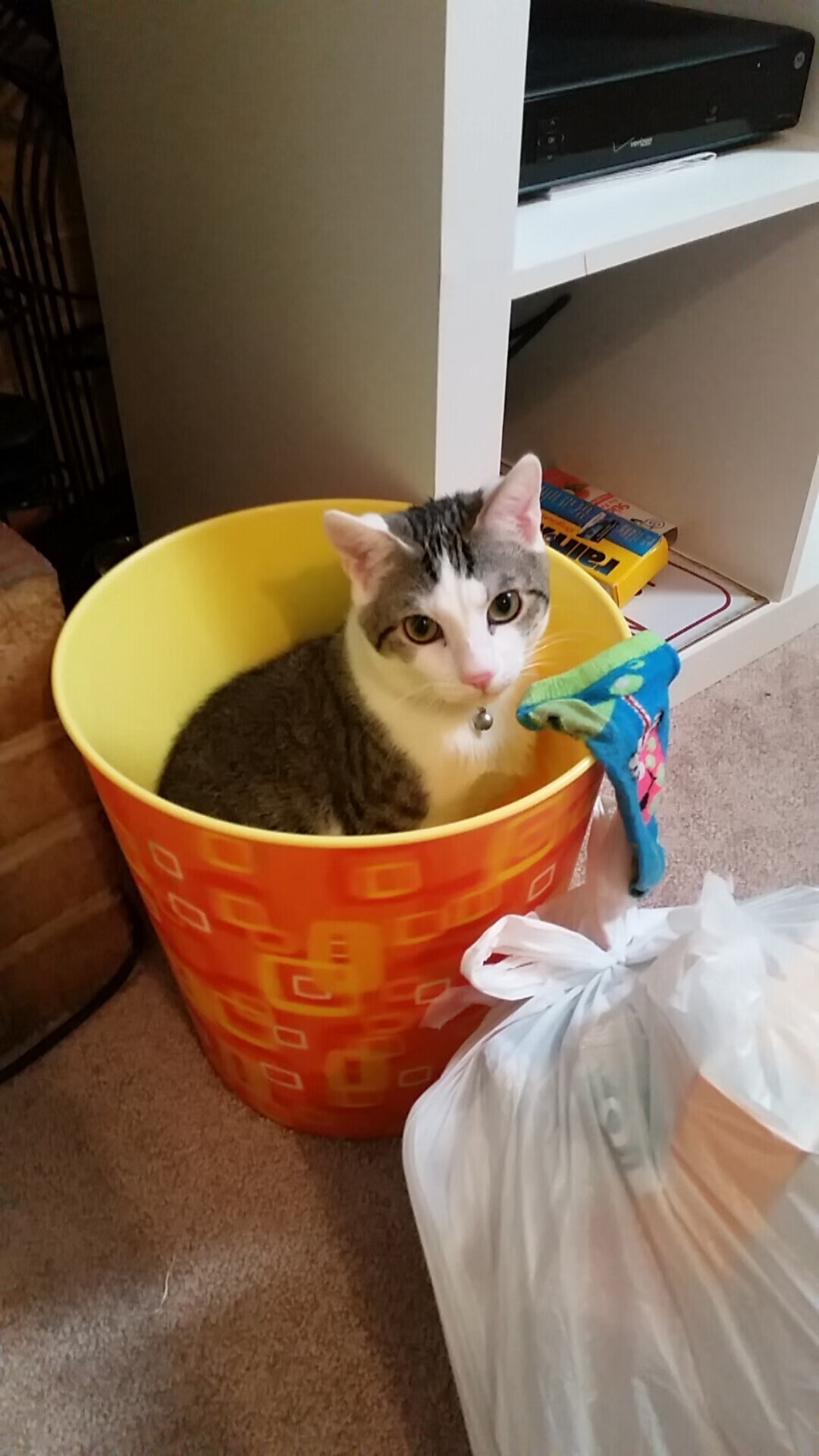 kaiyun开云体育-美国队赛制透视：如何利用赛制加强赛事中的即时反应，美国队比赛日程