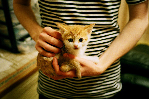 公牛小将突破能力明显提升展现潜力,公牛新品