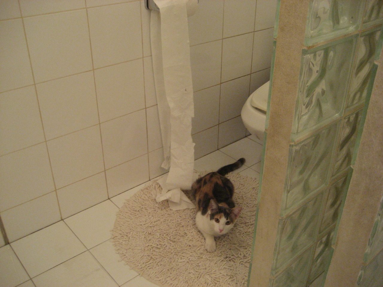 女子橄榄球推动爱尔兰体育文化变革,爱尔兰式橄榄球